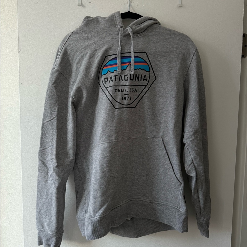 Patagonia hoodie